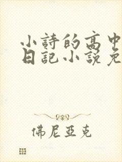 小诗的高中成长日记小说免费阅读