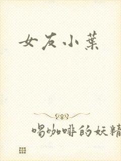 女友小叶