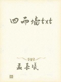 四面墙txt