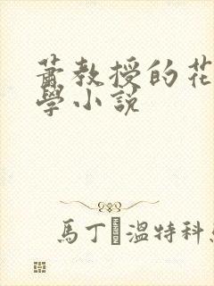 萧教授的花式教学小说