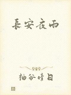 长安夜雨