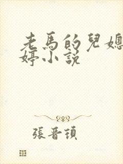 老马的儿媳顾婉婷小说