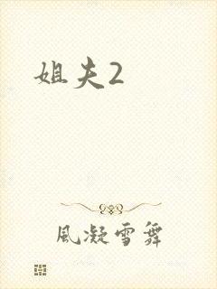 姐夫2