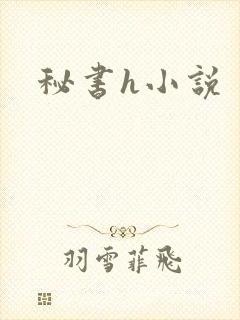 秘书h小说