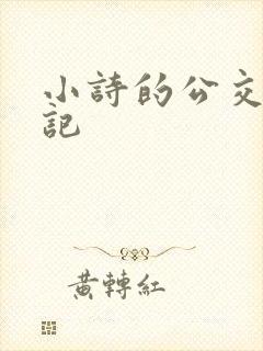 小诗的公交车日记