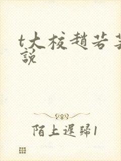 t大校赵若芸小说