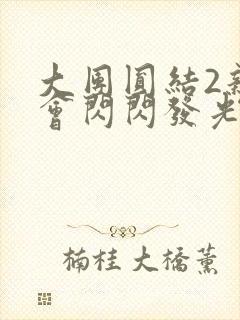 大团圆结2亲情会闪闪发光作文