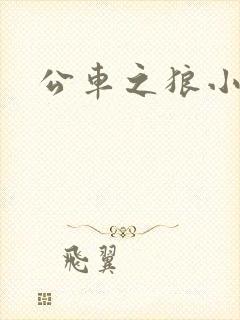 公车之狼小说