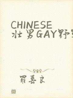 CHINESE壮男GAY野战强迫TUBE