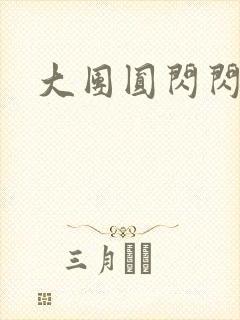 大团圆闪闪发光