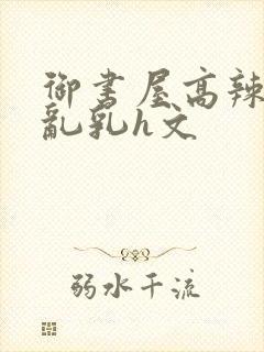 御书屋高辣h文乱乳h文