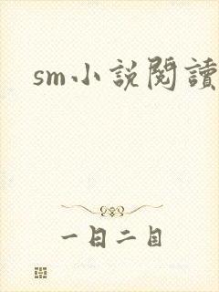 sm小说阅读