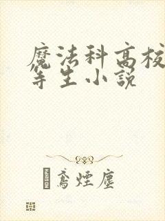 魔法科高校的劣等生小说