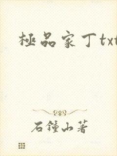 极品家丁txt