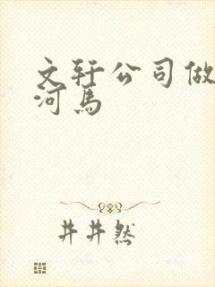 文轩公司做扩张河马