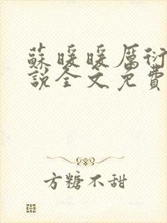 苏暖暖厉衍琛小说全文免费阅读