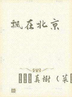 飘在北京