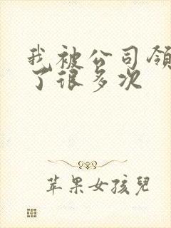 我被公司领导C了很多次