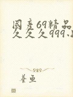国产69精品久久久久999小说