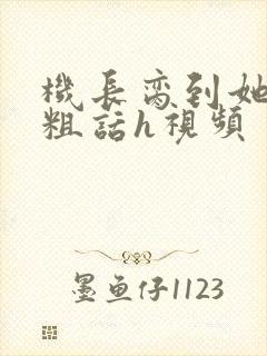 机长脔到她哭h粗话h视频