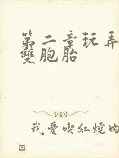 第二章玩弄少妇双胞胎