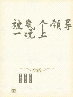 被几个领导玩弄一晚上