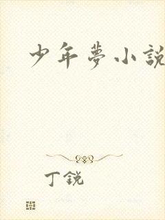 少年梦小说