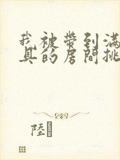 我被带到满是玩具的房间挑调游戏