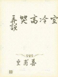 弄哭高冷室友小说