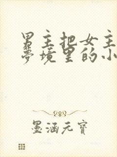 男主把女主拖进梦境里的小说