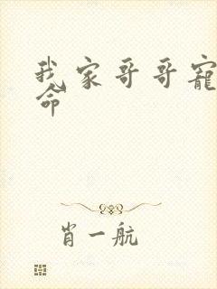 我家哥哥宠妹如命