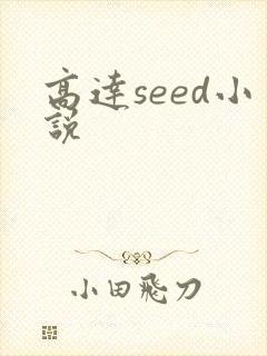 高达seed小说
