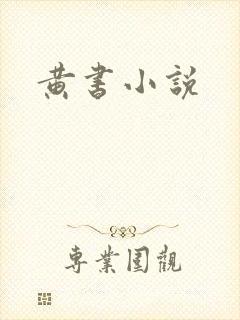 黄书小说