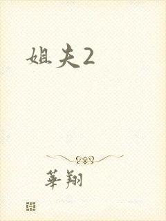 姐夫2