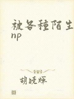 被各种陌生人 np