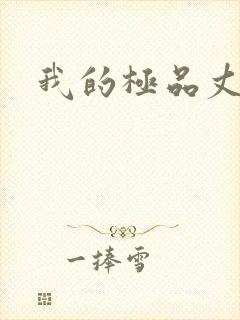 我的极品丈母娘