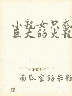 小龙女只感觉那巨大的火龙枪