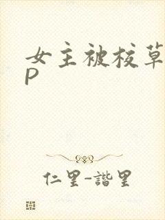 女主被校草们NP