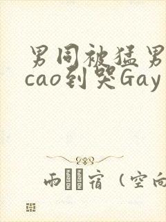 男同被猛男房东cao到哭Gay