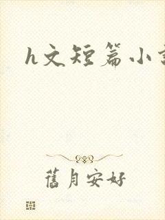 h文短篇小说