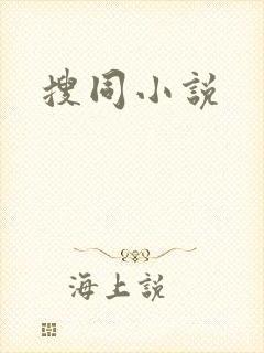 搜同小说