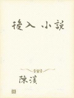 后入 小说