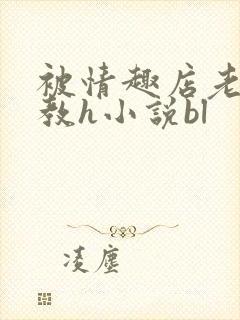 被情趣店老板调教h小说bl