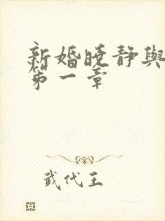 新婚晓静与翁公笫一章