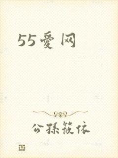 55爱网