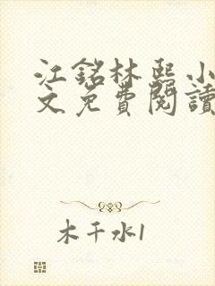 江铭林熙小说全文免费阅读