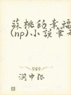 苏桃的幸福生活(np)小说笔趣阁沐沐