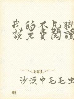 我的不凡职业小说免费阅读