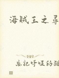 海贼王之寻亲记