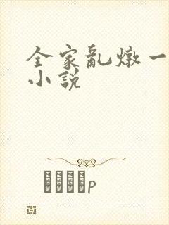 全家乱炖一锅烩小说